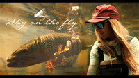 Shy On The Fly