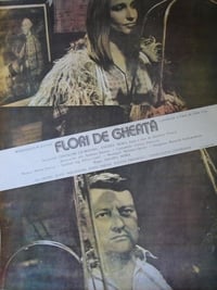 Flori de gheață (1989)