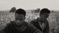 «Файя Дайи (2021)» — обои к фильму #5