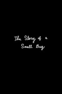 The Story of a Small Bug (2020)