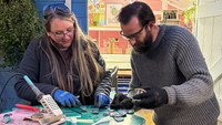 Stained Glass and Metal Art