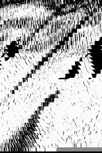 Aleph