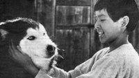 «Spirit of the Wind (1979)» — обои к фильму #1