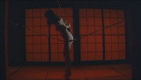 «Kiyoshi shojo shibari (1979)» — обои к фильму #4