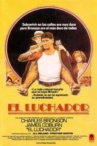 Poster de El peleador callejero