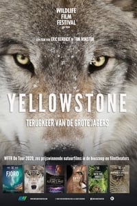 Yellowstone (2020)