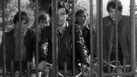 «Наудачу, Бальтазар (1966)» — обои к фильму #6