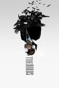 The Birds