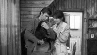 «Кошачьи следы (1971)» — обои к фильму #5