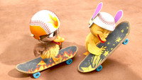 Mission Skateboard