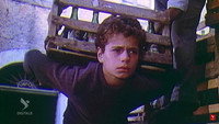 «Qortimet e vjeshtës (1981)» — обои к фильму #1