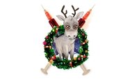 Reindeerspotting: Escape from Santaland