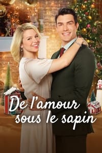 Noël avec un inconnu 2 (2019)