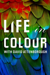 Poster de La vida a color con David Attenborough