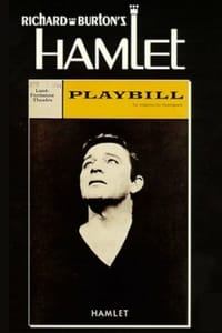 Hamlet from the Lunt-Fontanne Theatre