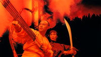 La Légende de Fong Sai Yuk