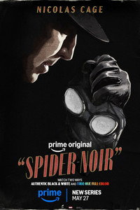 Постер сериала «Паук-Нуар (2026)» — (36 из 134)
