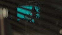 The Neighbor