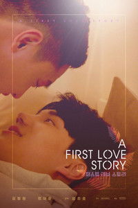 tv show poster A+First+Love+Story 2021