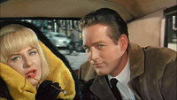 «Новый вид любви (1963)» — обои к фильму #1