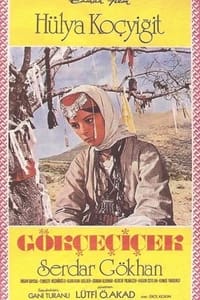 Gökçe Çiçek (1973)