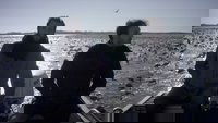 The Middle of a Lake
