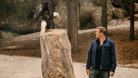 Обои к фильму «Дети леса (2024)» — (16 из 20)
