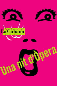 Постер к фильму Una nit d'òpera (2006)