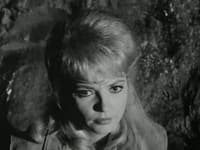 S08E05 - (1962)