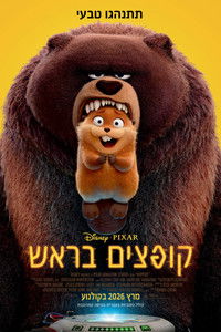 קופצים בראש