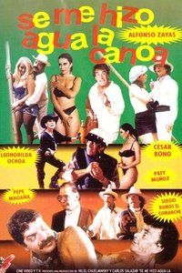 Se me hizo agua la canoa (1994)