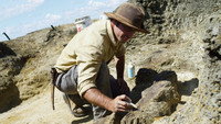«Dinosaurs - The Final Day with David Attenborough (2022)» — обои к фильму #6
