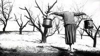 «Родник для жаждущих (1965)» — обои к фильму #3
