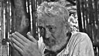 «The Bridge in the Jungle (1970)» — обои к фильму #1