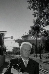 movie-images