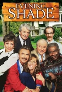 copertina serie tv Evening+Shade 1990