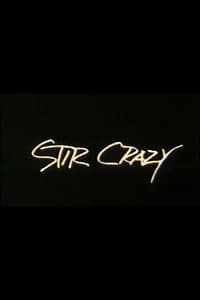 Stir Crazy (1985)