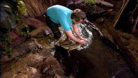 Program 1
