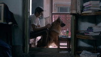 «Once Upon a Time in Calcutta (2021)» — обои к фильму #2