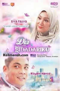 Dia Bidadariku (2017)