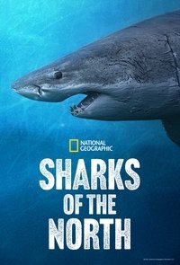 Sharks of the North pelicula completa