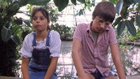 «Плёнтек (1991)» — обои к фильму #1