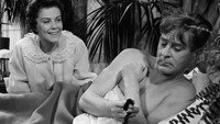 «Ах вы мои приключения... (1958)» — обои к фильму #1