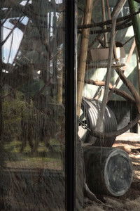 Imagem do Filme Time is for what is going to disappear