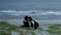 «Синева (2002)» — обои к фильму #2