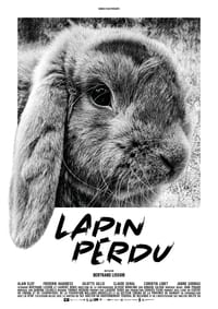 Lapin perdu (2019)