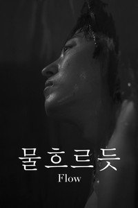 Flow (2026) subtitle poster