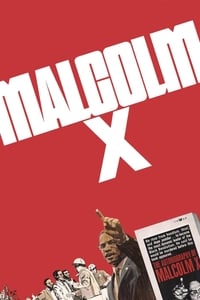 Poster de Malcolm X