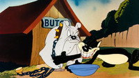 «Birdy and the Beast (1944)» — обои к мультфильму #1