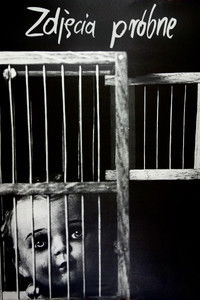 Poster de Zdjęcia próbne